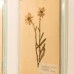 Sophia Boutique 公寓式酒店 4*